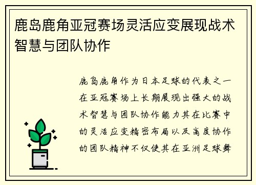 鹿岛鹿角亚冠赛场灵活应变展现战术智慧与团队协作